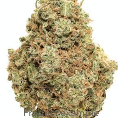 CANNABIS 